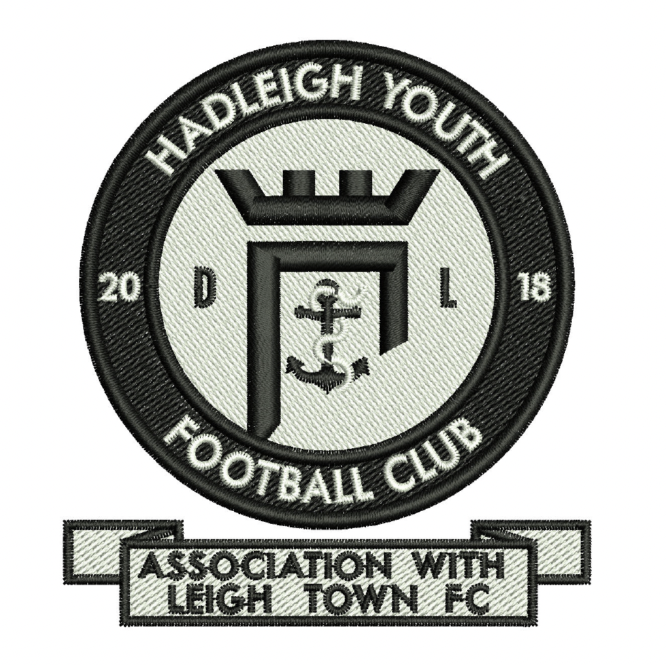 Logo Embroidery Digitising